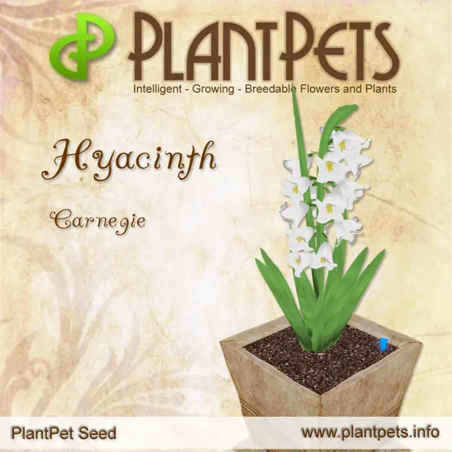 Poster for Hyacinth *Carnegie*