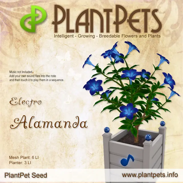 Poster for Alamanda *Electro*
