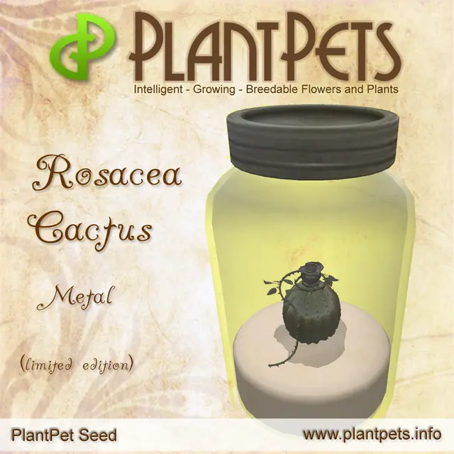 Poster for Rosacea Cactus *Metal*