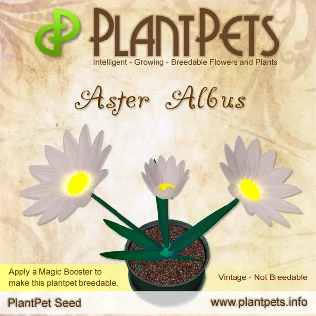 Poster for Aster *Albus*