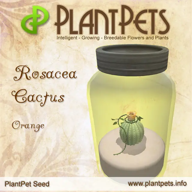 Poster for Rosacea Cactus *Orange*