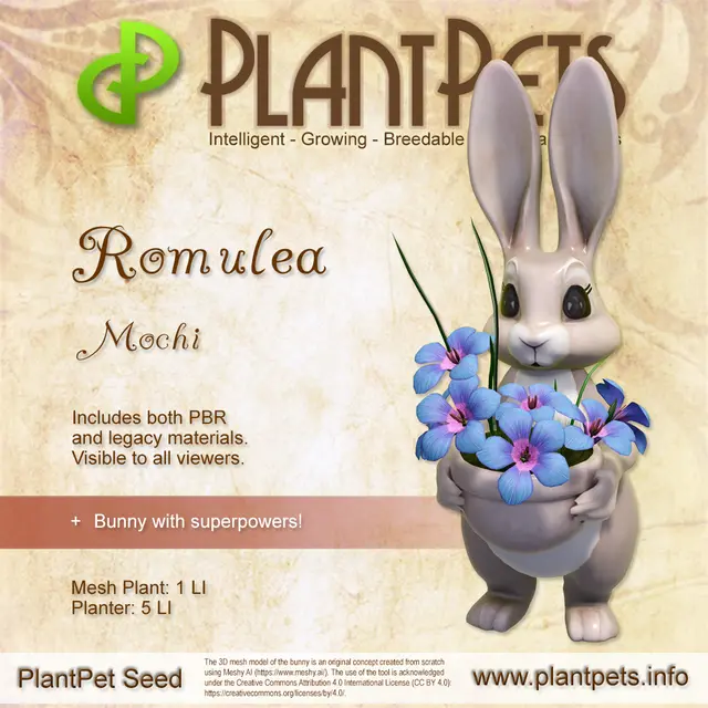Poster for Romulea *Mochi*