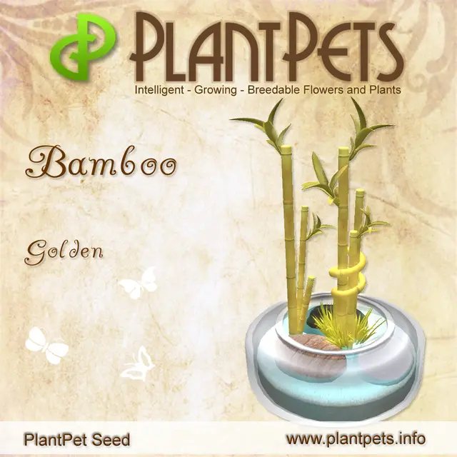 Poster for Bamboo *Golden*