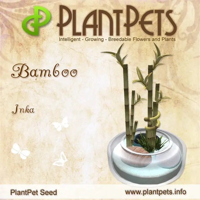 Poster for Bamboo *Inka*