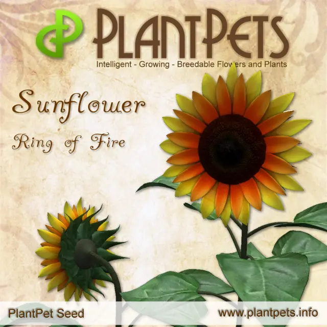 Poster for Sunflower *Ring of Fire*