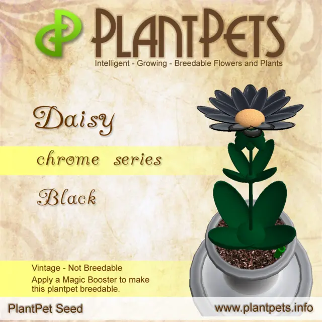 Poster for Daisy *Chrome Black*