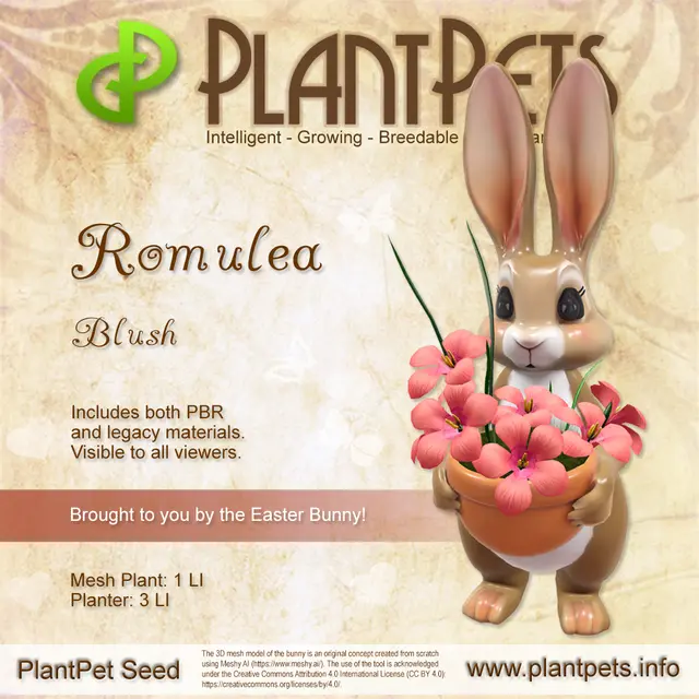 Poster for Romulea *Blush*