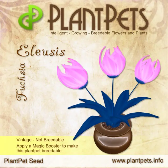 Poster for Eleusis *Fuchsia*