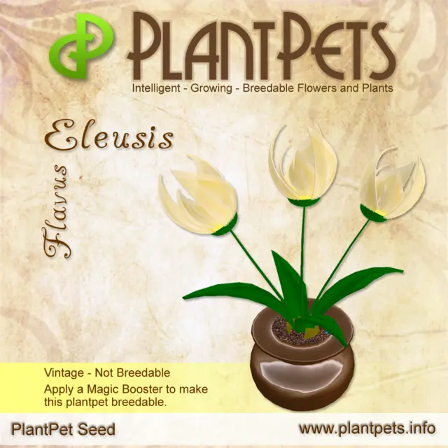 Poster for Eleusis *Flavus*
