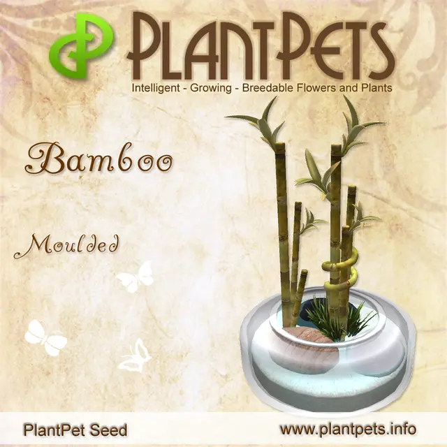 Poster for Bamboo *Moulded*