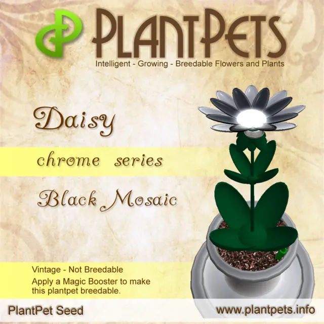 Poster for Daisy *Chrome Black Mosaic*