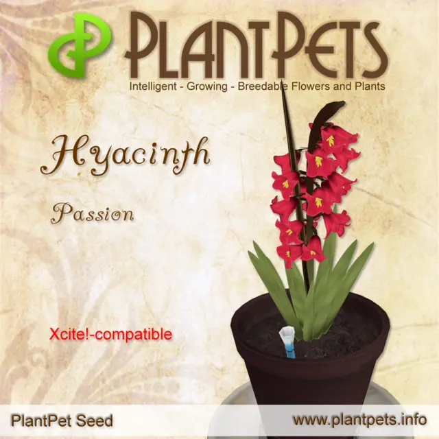 Poster for Hyacinth *Passion*