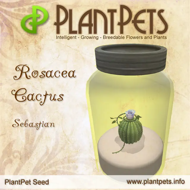 Poster for Rosacea Cactus *Sebastian*