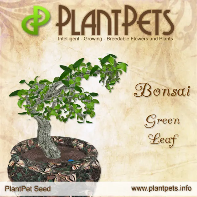 Poster for Bonsai *Green Leaf*