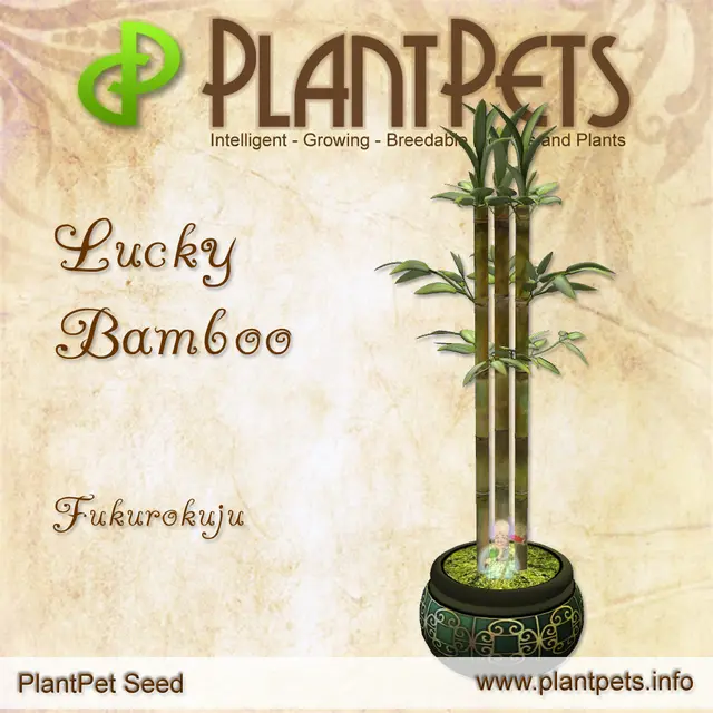 Poster for Lucky Bamboo *Fukurokuju*