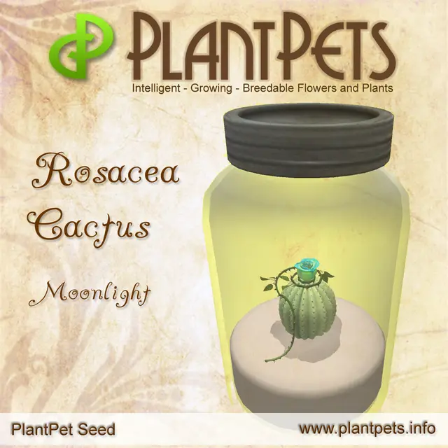 Poster for Rosacea Cactus *Moonlight*